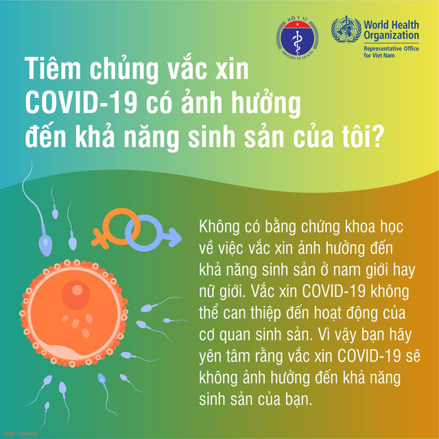 Vero Cell cũng giống như các vắc xin COVID 19 khác, không ảnh hưởng đến khả năng sinh sản