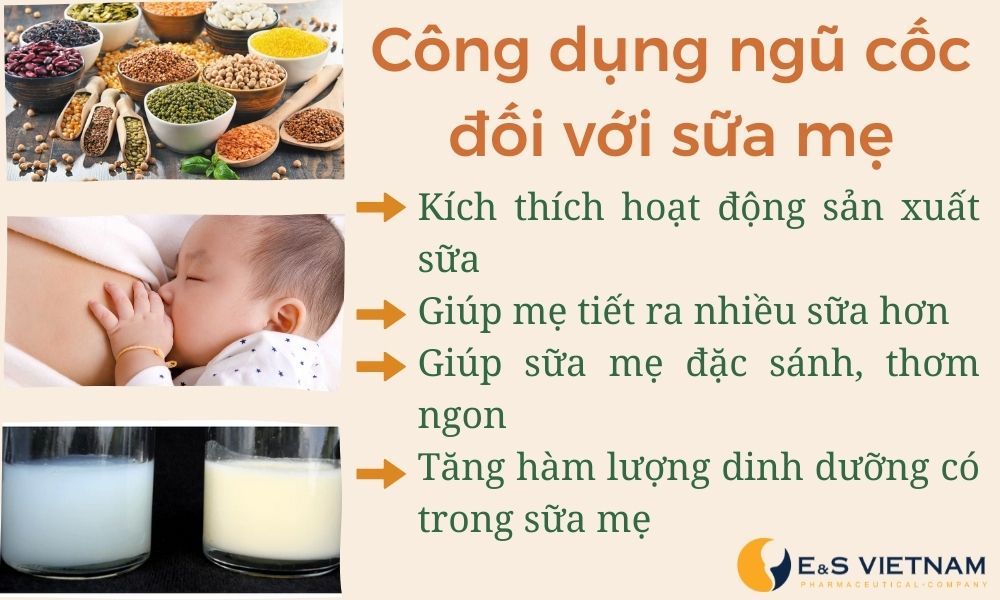 4 công dụng của ngũ cốc đối với sữa mẹ. 
