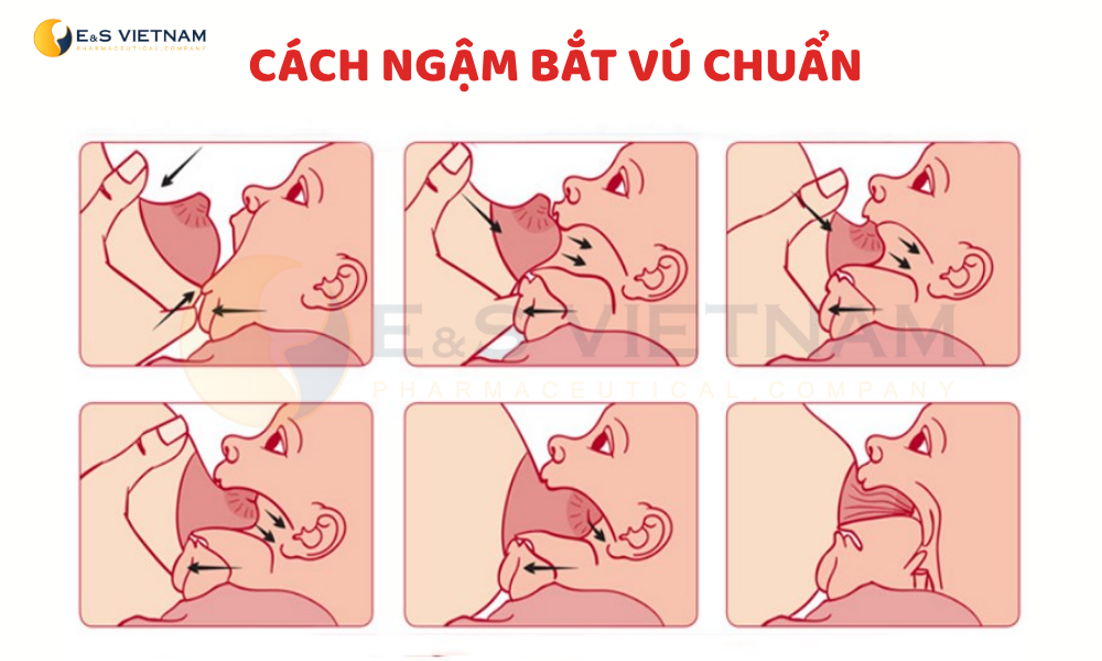 Cách kích sữa về nhiều