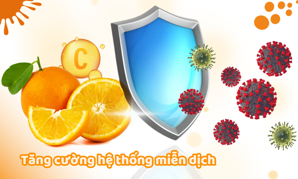 Vitamin C tăng cường hệ thống miễn dịch bảo vệ cơ thể