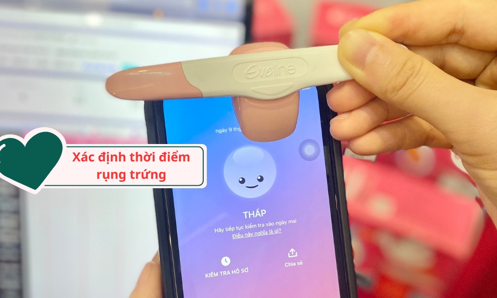 Xác định thời điểm rụng trứng để chọn thời điểm quan hệ tăng cơ hội đẻ sinh đôi 1 trai 1 gái