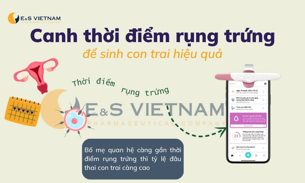 Xác định khoảng thời điểm rụng trứng để quan hệ sinh con trai