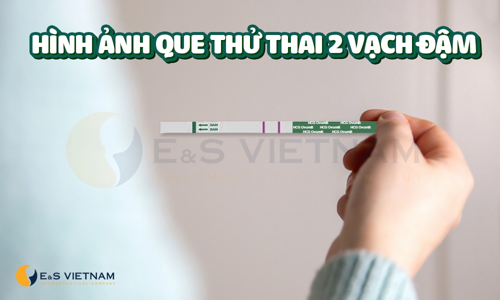 Hình ảnh que thử thai 2 vạch đậm