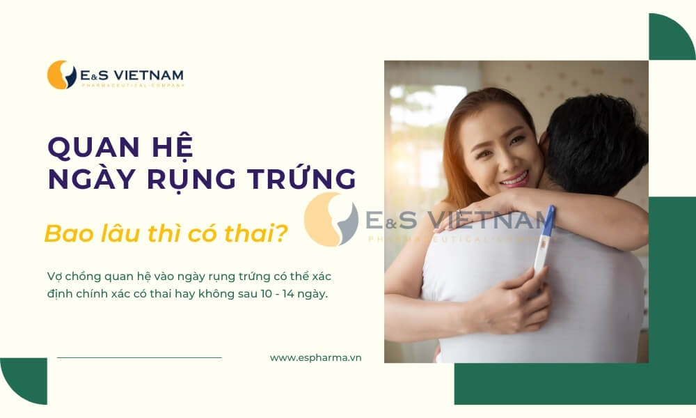 Sau 10 - 14 ngày sẽ xuất hiện những dấu hiệu có thai sau khi quan hệ đúng ngày rụng trứng