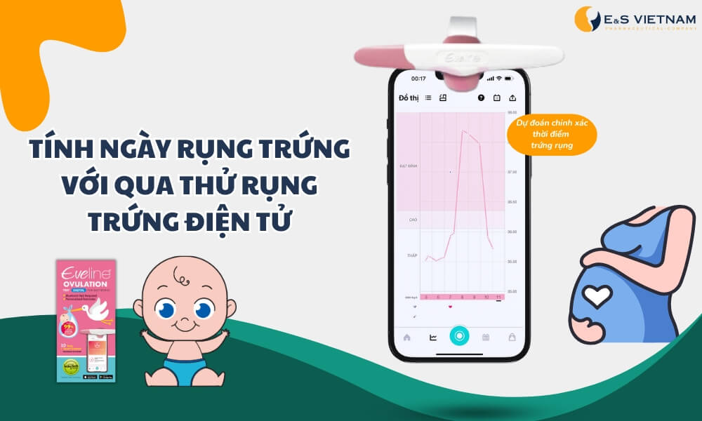 Tính thời điểm rụng trứng chính xác để tăng tỉ lệ thụ thai cho người bị u nang buồng trứng
