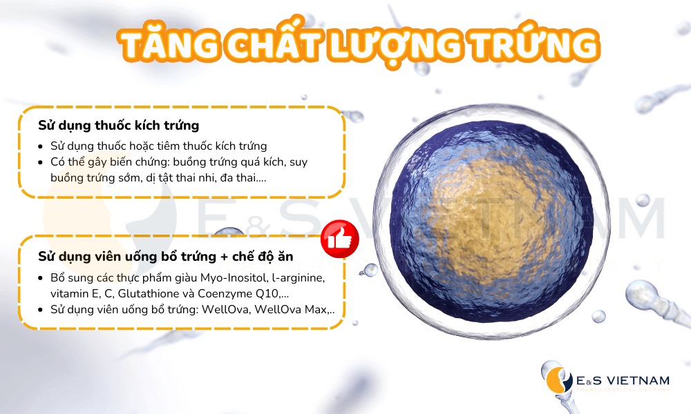 Cải thiện chất lượng trứng trước khi bơm IUI