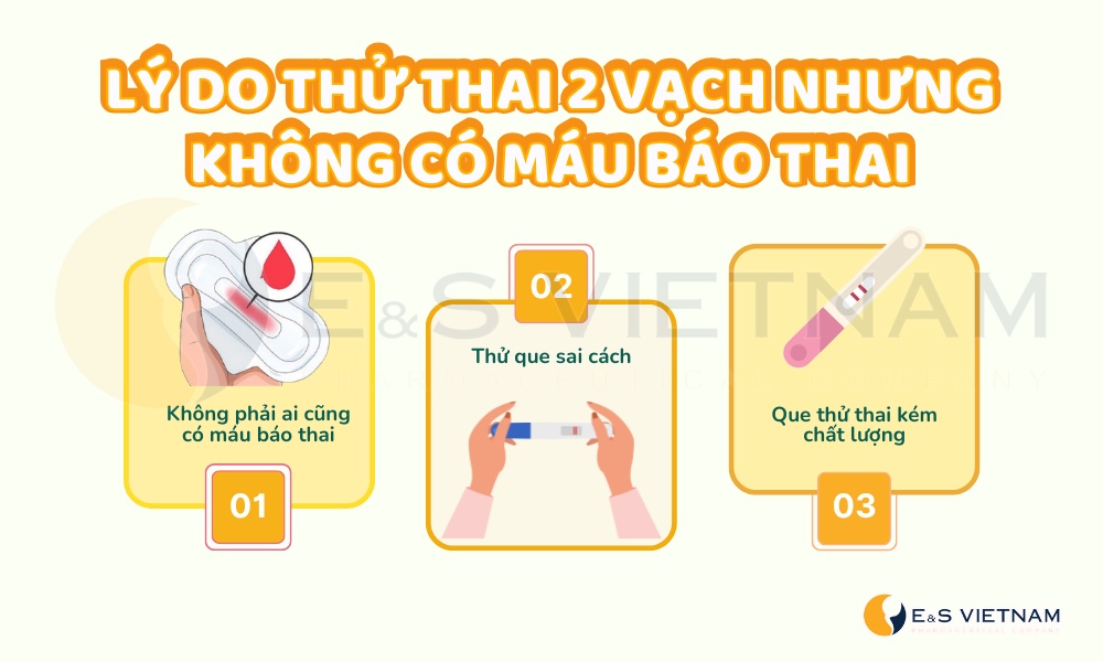 Lý do que thử thai 2 vạch nhưng không có máu báo thai
