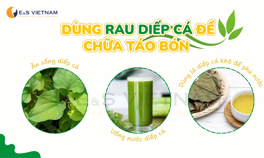 Dùng rau diếp cá để hỗ trợ giảm táo bón cho trẻ sơ sinh