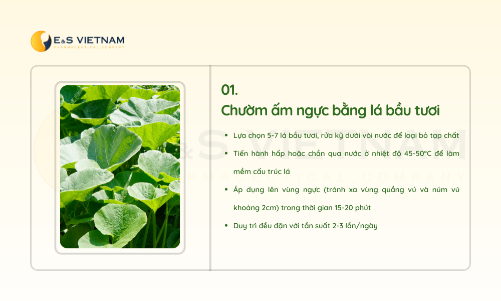 huong-dan-chuom-am-vung-nguc-bang-la-bau-tuoi
