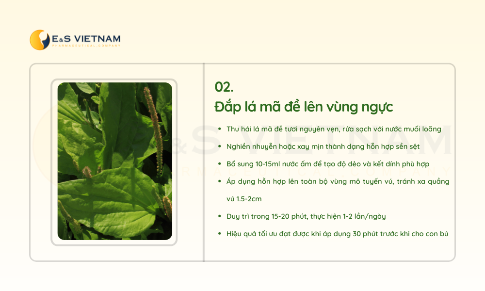 huong-dan-dap-la-ma-de-len-vung-nguc