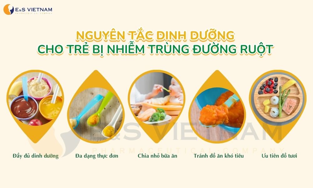 SỮA CHUA VÀ SỮA CÔNG THỨC PHÙ HỢP GIÚP TRẺ PHỤC HỒI SAU NHIỄM KHUẨN