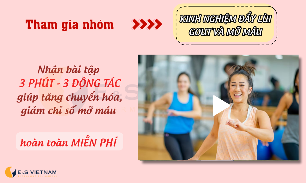 Mỡ máu cao nên ăn gì, kiêng gì để giảm chỉ số mỡ xấu nhanh chóng?