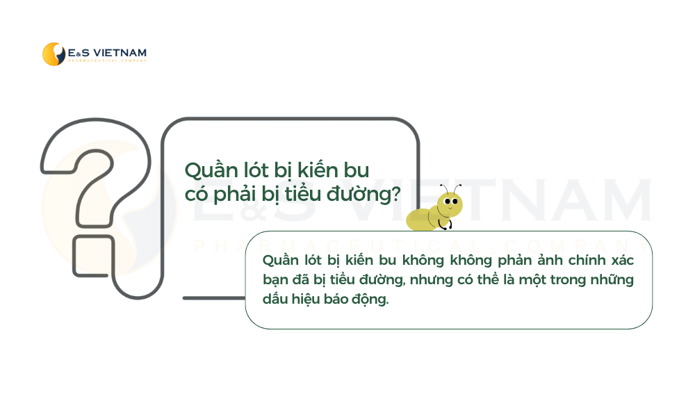 quan-lot-bi-kien-bu-khong-phan-anh-chinh-xac-ban-bi-tieu-duong