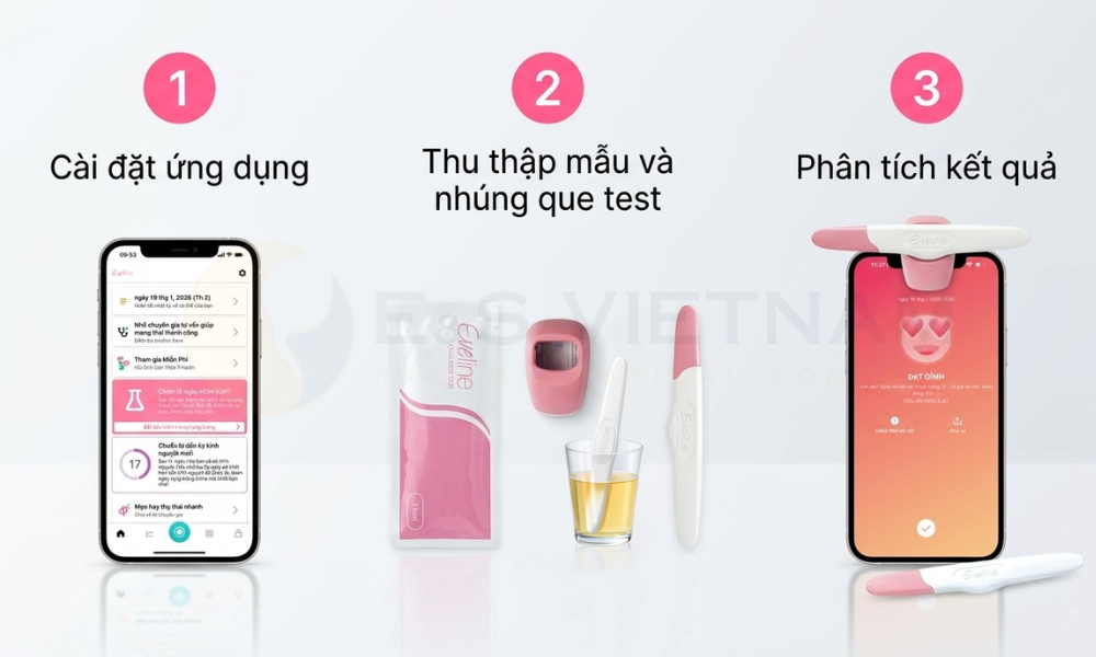 Hướng Dẫn Cách Dùng Que Thử Rụng Trứng Sinh Con Trai Mới Nhất