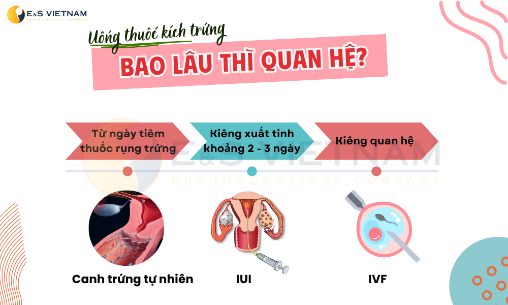 Nếu uống thuốc kích trứng thì sau bao lâu thì trứng rụng?