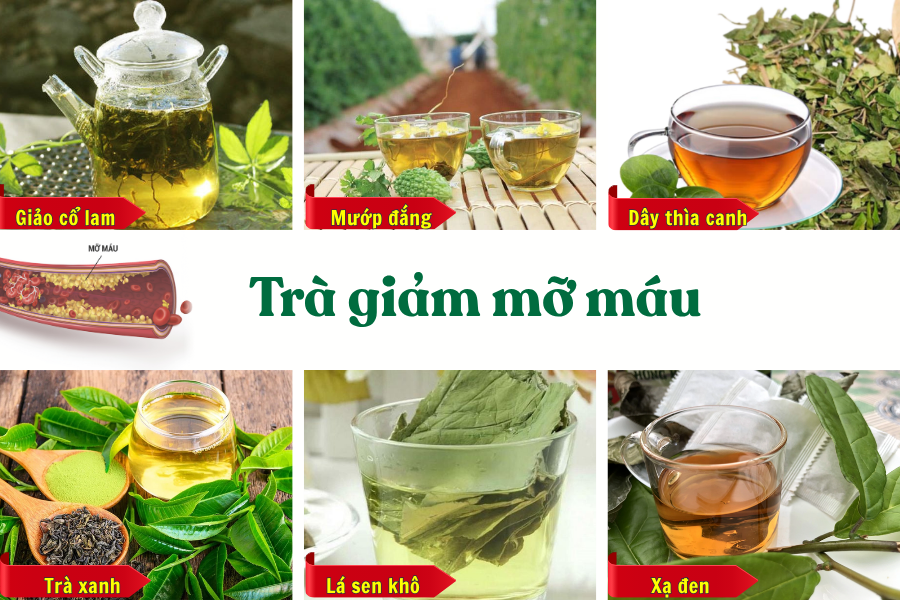 Thực hư: Trà giảm mỡ máu có thể giúp giảm chỉ số cholesterol không?