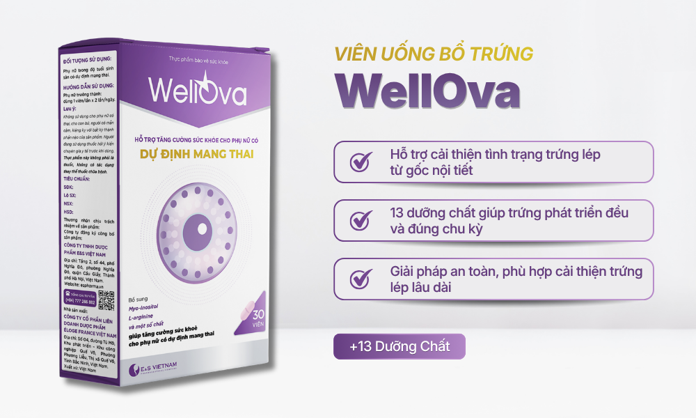 Top 5 viên uống bổ trứng tốt nhất giúp cải thiện tình trạng trứng lép