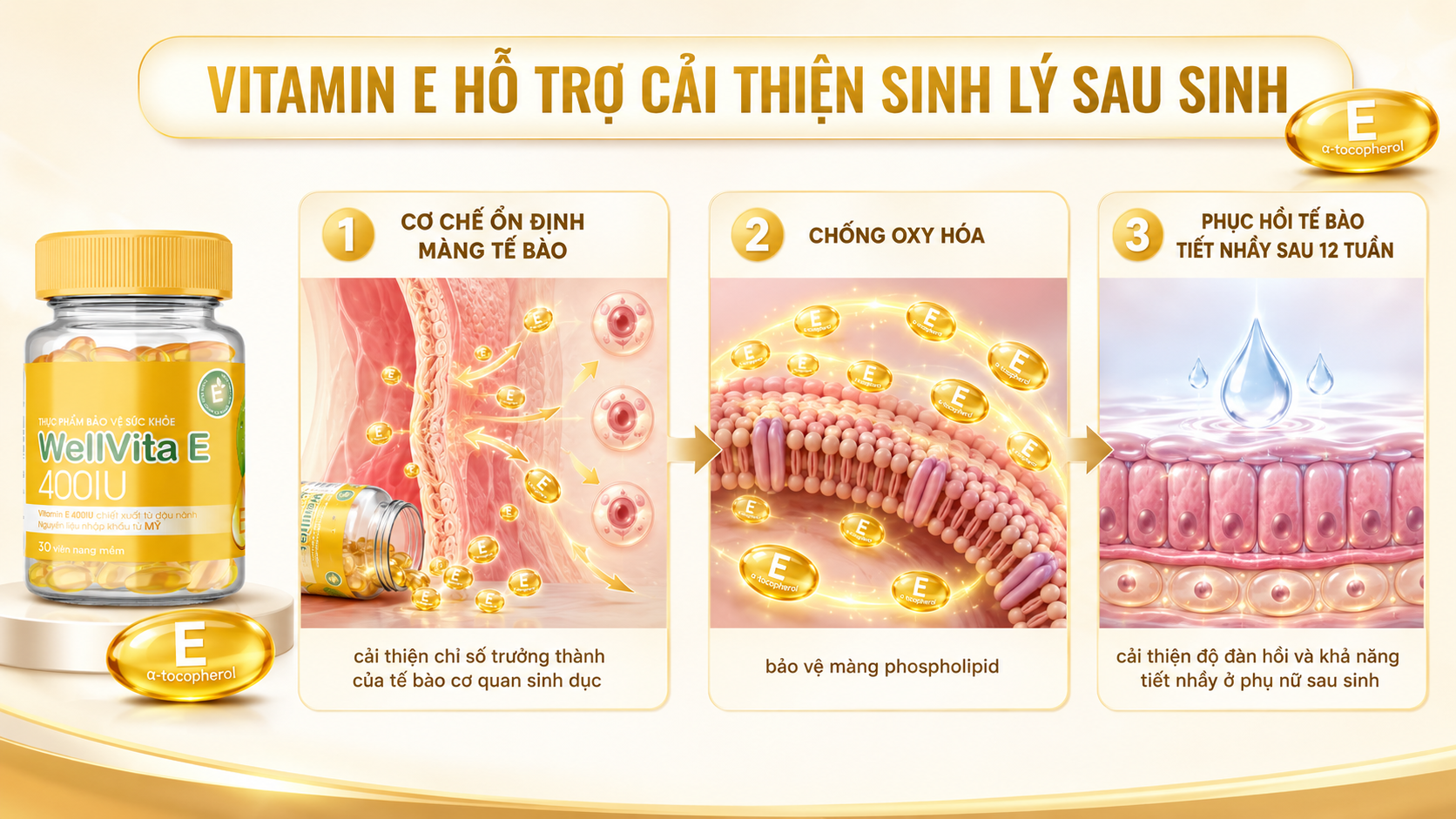 loi-ich-vitamin-e-voi-me-sau-sinh-3