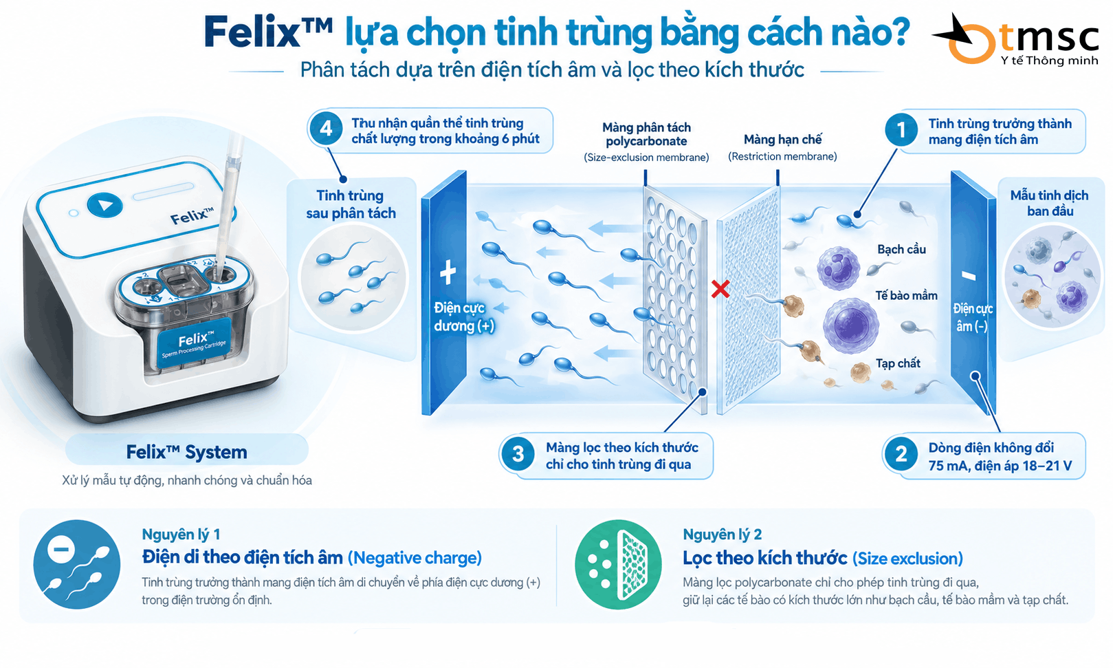 Felix™ – Công nghệ đột phá giúp chọn lọc tinh trùng tốt nhất trong 6 phút